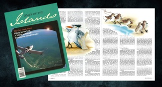 Times of the Islands Magazine